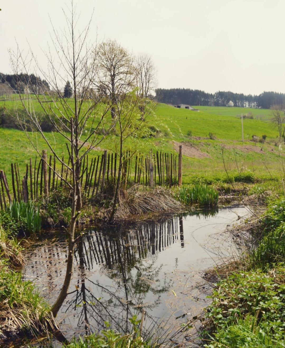 La Fabrique Du Roncon Villa Saint-Bonnet-le-Troncy ภายนอก รูปภาพ