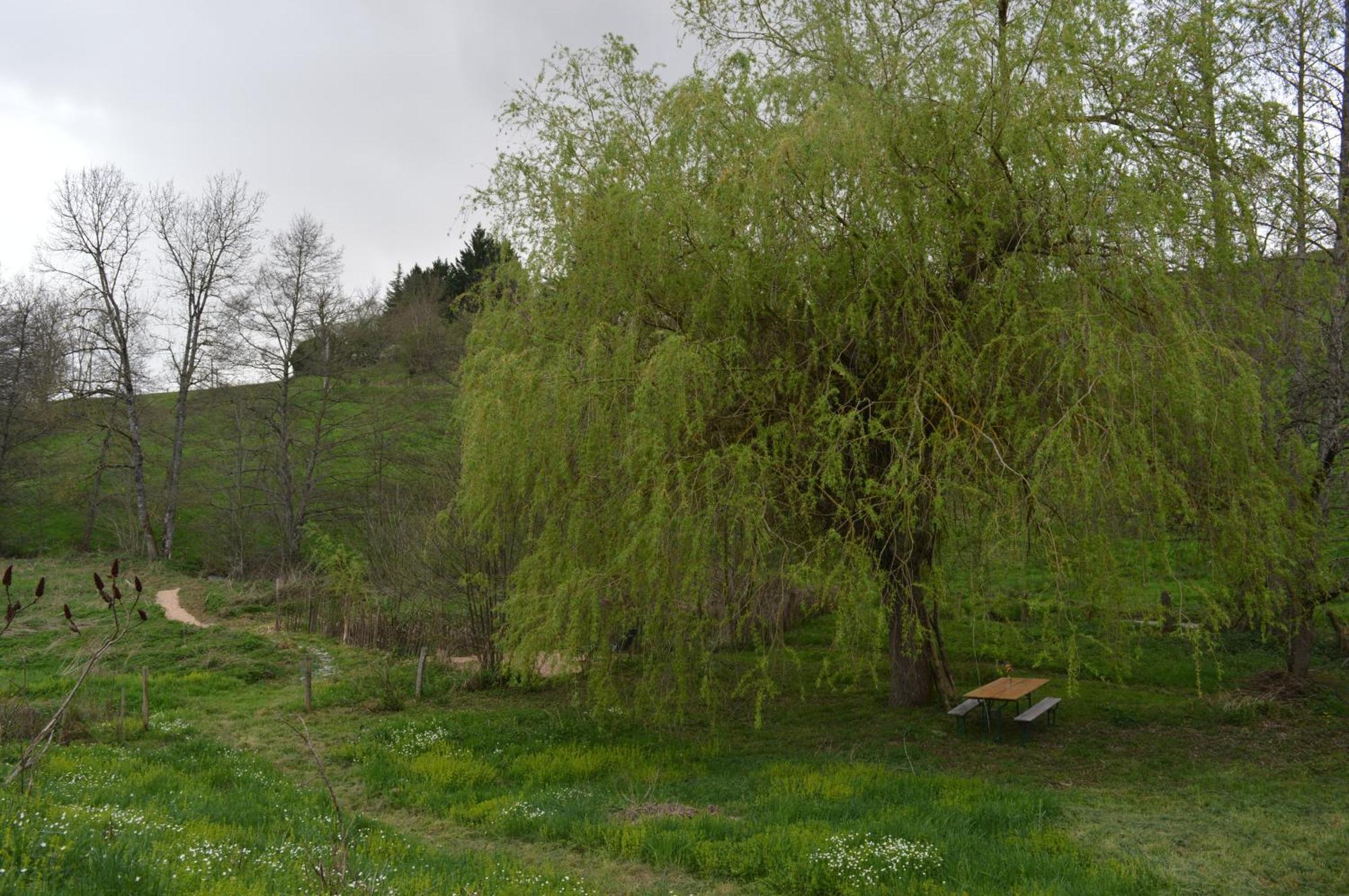 La Fabrique Du Roncon Villa Saint-Bonnet-le-Troncy ภายนอก รูปภาพ